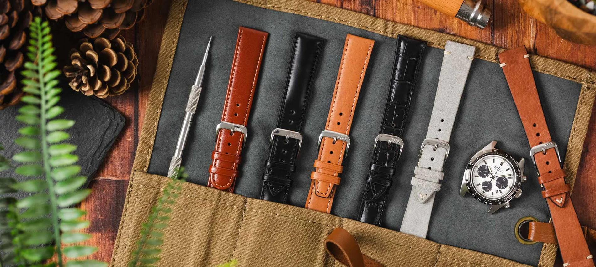 Elevate Your Wrist Game